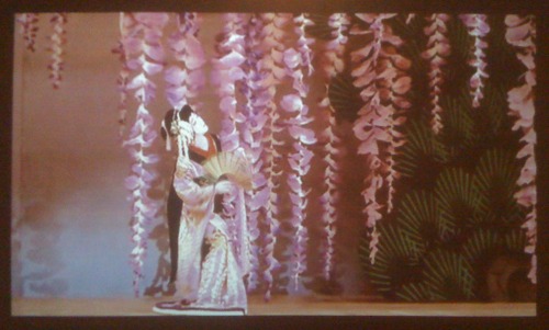 Japanese dancer with giant wisteria blossoms